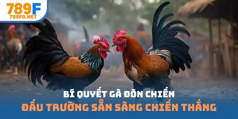 bí quyết gà đòn chiến