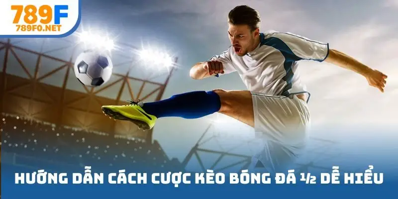 Hướng dẫn cách cược kèo bóng đá ½ dễ hiểu nhất cho bạn