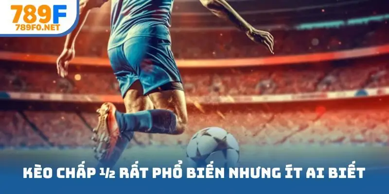 Kèo chấp ½ rất phổ biến nhưng không phải ai cũng hiểu rõ
