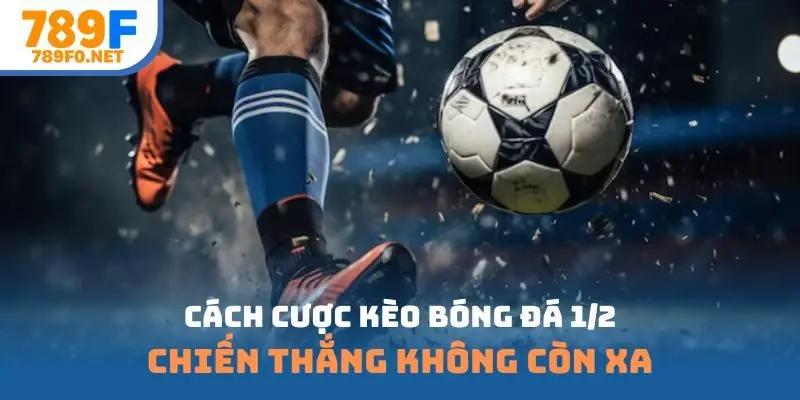 cách cược kèo bóng đá ½