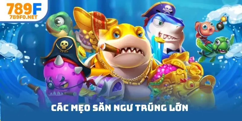 Các mẹo săn ngư trúng lớn