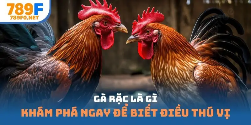 gà rặc là gì