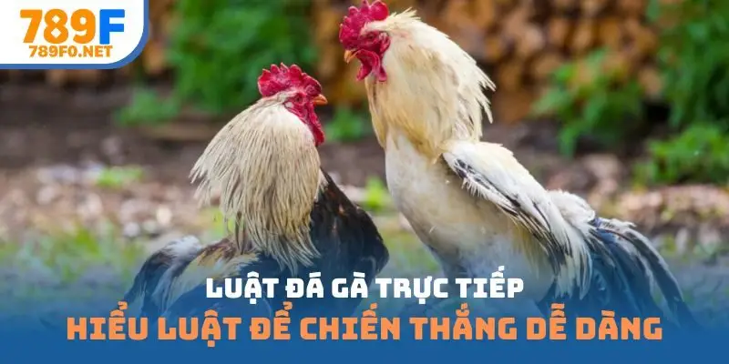 luật đá gà trực tiếp