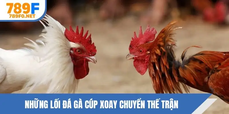Những lối đá gà cúp xoay chuyển thế trận