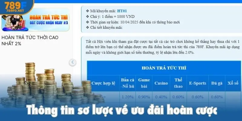 Cập nhật nội dung khuyến mãi hoàn trả 10% mỗi ngày