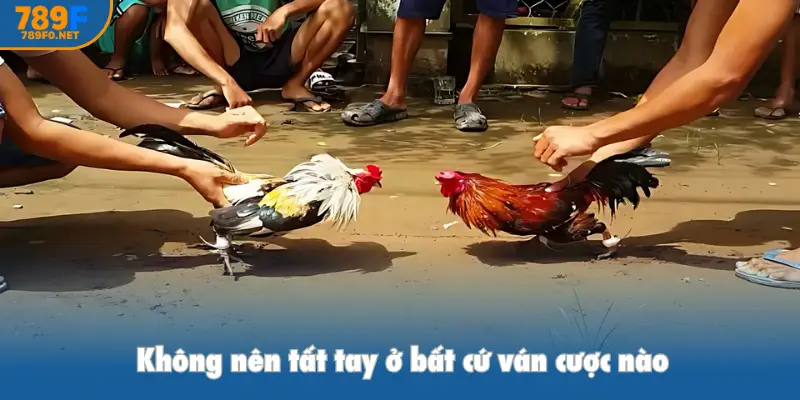 Không nên tất tay ở bất cứ ván cược nào